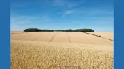 Fotocraft Images
