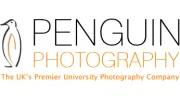 Penguin Photography