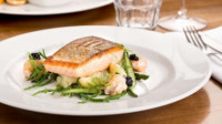 Food Photography